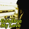 About Goodbye My Love Song