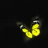 About Butterfly Song