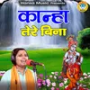 About Kanha Tere Bina Song