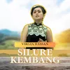 About Silure Kembang Song