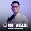 About Сен мені түсінбедің Song