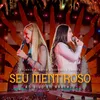 About Seu Mentiroso Song