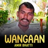 About Wangaan Song