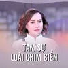 About Tâm Sự Loài Chim Biển Song