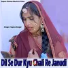 About Dil Se Dur Kyu Chali Re Janudi Song