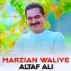 About Marzian waliye Song