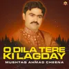 About O Dila Tere Ki Lagday Song