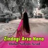 Zindagi Arsa Nana