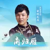 About 南归雁 Song