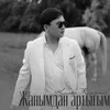 About Жанымдан артыгым Song