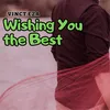 About Wishing You the Best Song