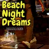 About Beach Night Dreams Song