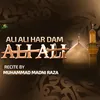 About Ali Ali Har Dam Ali Ali Song