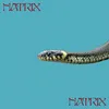 Natrix natrix