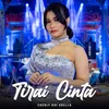 Tirai Cinta