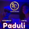 About Paduli Song