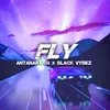 About Fly Song