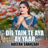 About Dil Tain Te Aya Ay Yaar Song