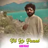 About Dil Ku Pasand Song