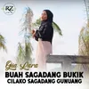 Buah Sagadang Bukik Cilako Sagadang Gunuang