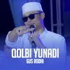 About QOLBI YUNADI Song