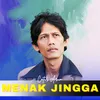 About Menak Jingga Song