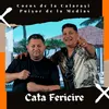 About Cata fericire Song