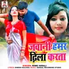 About Jawani Hamar Dhila Karata Song