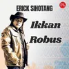 About Ikkan Robus Song
