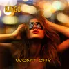 About Won't cry Song