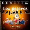 About Los Pajaros Song