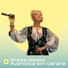 About Floricica din carare Song