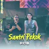 About Santri Pekok Song