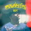 About Wonderful life Song