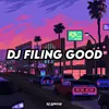 About DJ FILING GOOD Song