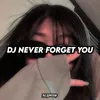 About DJ NEVER FORGET YOU Song