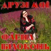 About Друзі мої Song