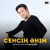 About Сенсің әнім Song