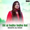 Dil aj bujha bujha hai