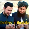 About Dehleez e Mustafa Song