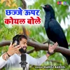 About Chhajje Upar Koyal Bole Song