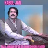 About Raza Janana Ka De Da Tirah Ghrona Yadegi Song