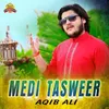 About Medi Tasweer Song