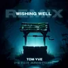 About Wishing Well Song