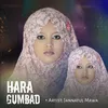 About Hara Gumbad Song