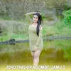 About Joko Tingkir Ngombe Jamu 2 Song