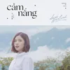 About Cảm Nắng Song