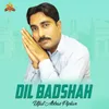 About Dil Badshah Song