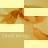 About Small things Song