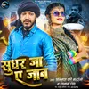 About Sudhar Ja Ae Jaan Song